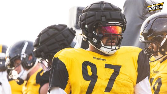 Steelers Cam Heyward