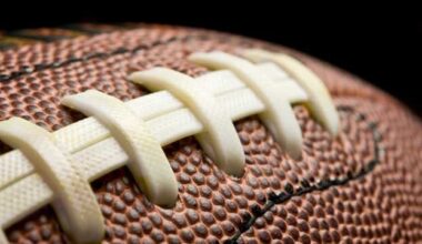 Bringing the Bears to Iowa: state lawmakers advance bill