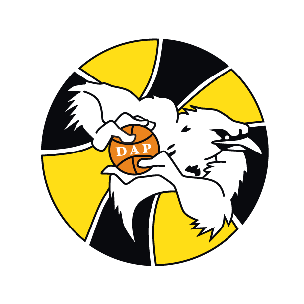 The Ravens Once Existed as a Baltimore Basketball Organization