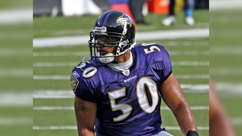 Facts about The Baltimore Ravens