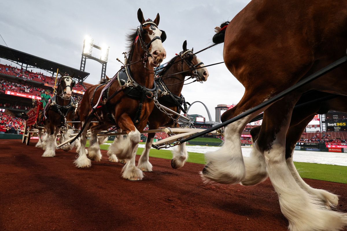 Yahoo entertainment home