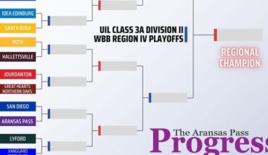 Lady Panthers to face San Diego in bi-district playoffs | San Patricio County