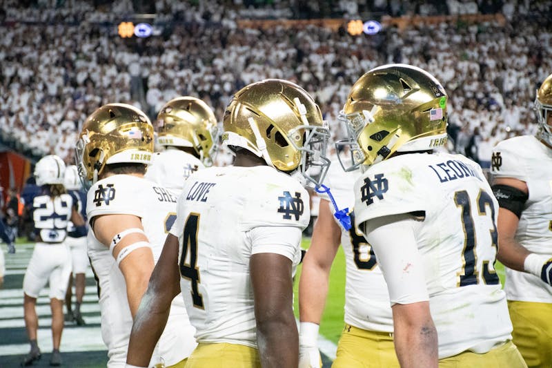 Notre Dame NFL rookie season recap