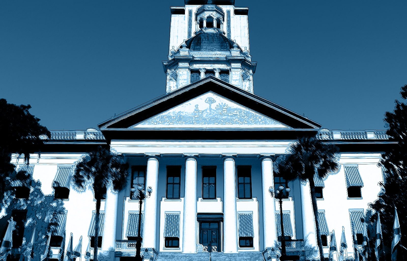 Blue Tally Takeaways (5)