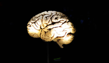 An NFL widow and scientist examines an NFLPA-funded CTE study