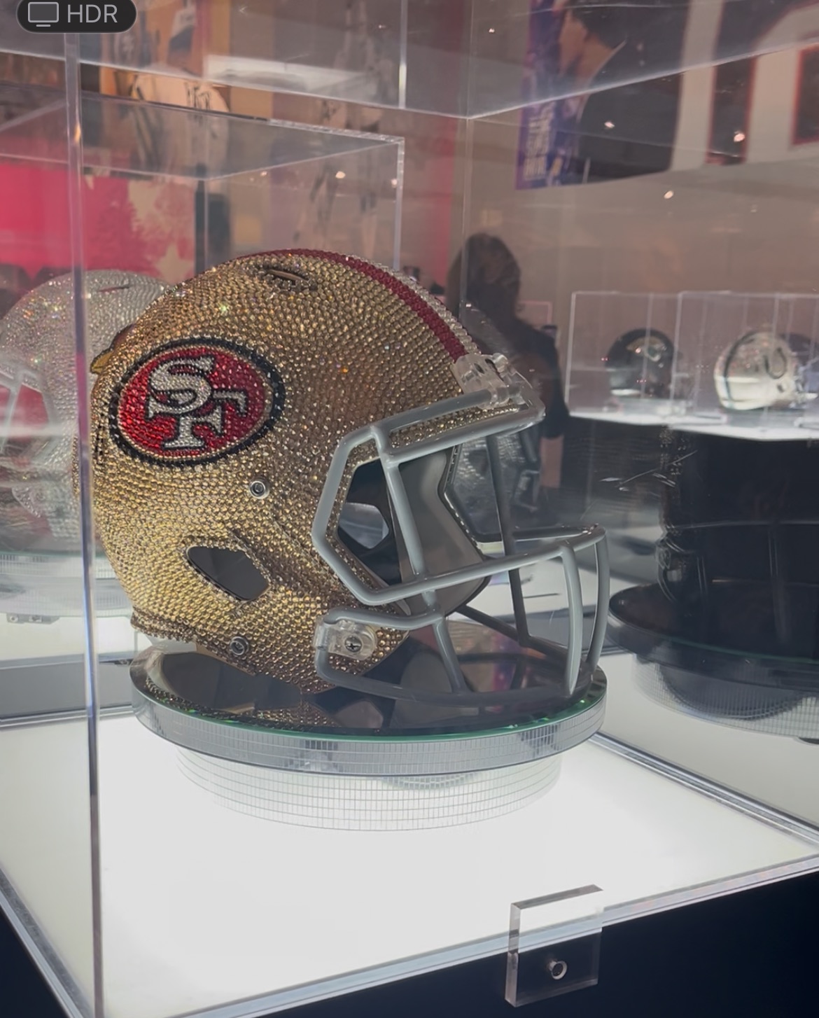 A display case featuring a San Francisco 49ers helmetÂ the NFL...