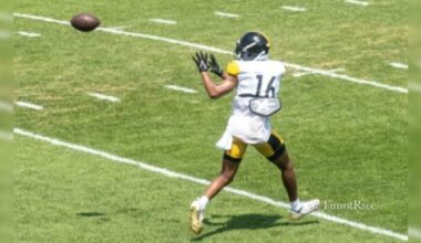 Former Steelers WR Robert Woods Announces Retirement