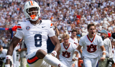 Untitled design - 2026-02-19T123602.095