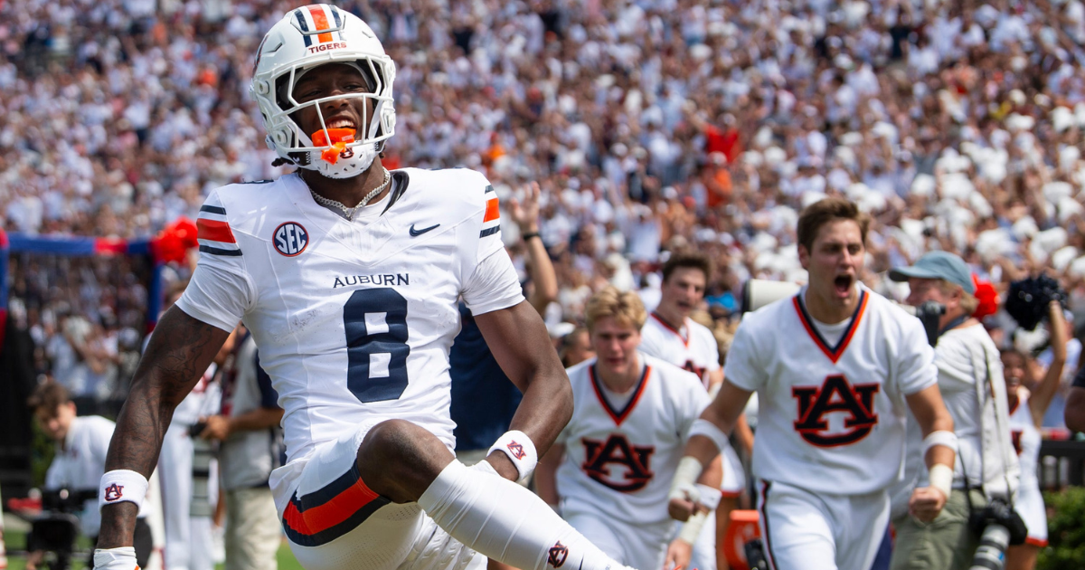 Untitled design - 2026-02-19T123602.095