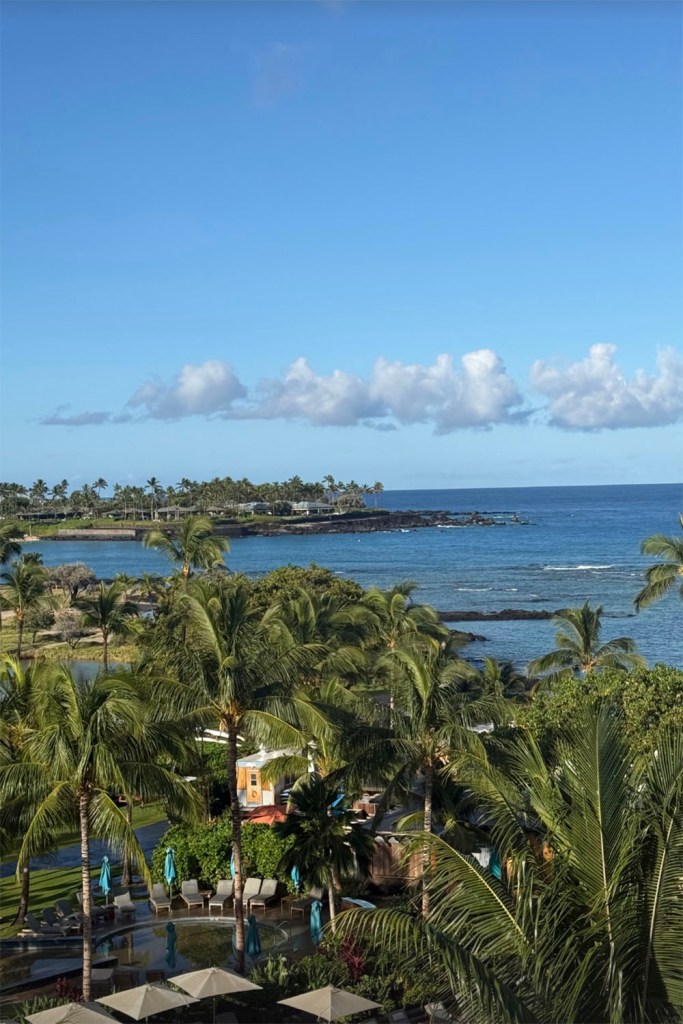 Patriots quarterback Drake Maye and his wife Ann Michael enjoy a vacation after New England’s 29-13 loss to Seattle in Super Bowl 2026. 