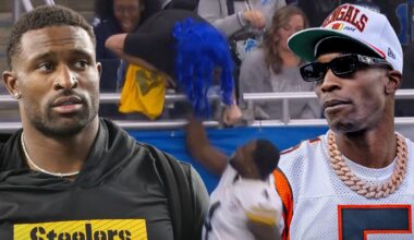 Lions Fan Sues DK Metcalf, Steelers For $100M Over Sideline Clash