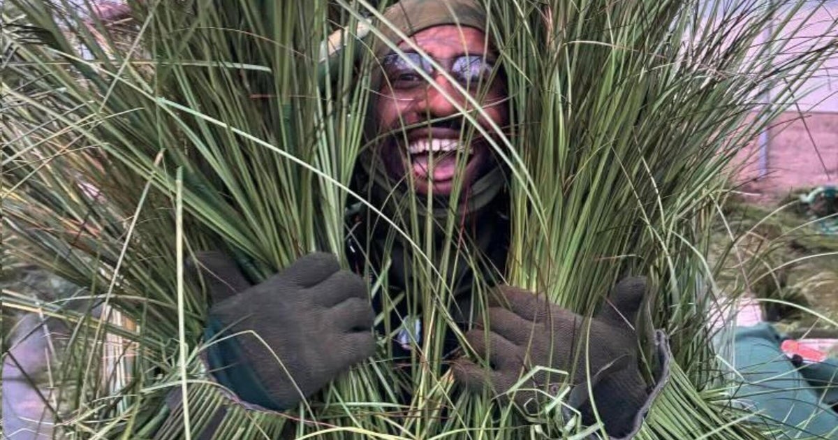 An Eagles fan played a plant in Bad Bunny's Super Bowl halftime show: "I had to keep it a secret"