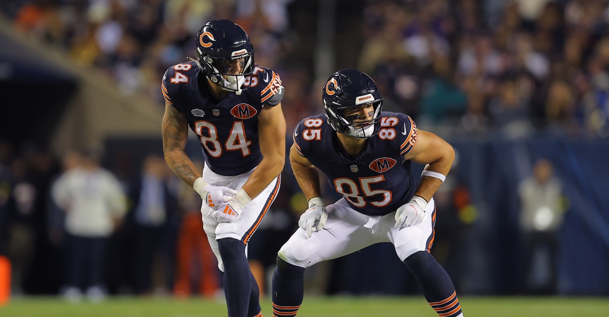 Chicago Bears 2026 Roster Turnover: Is this the best tight end duo in the NFL?