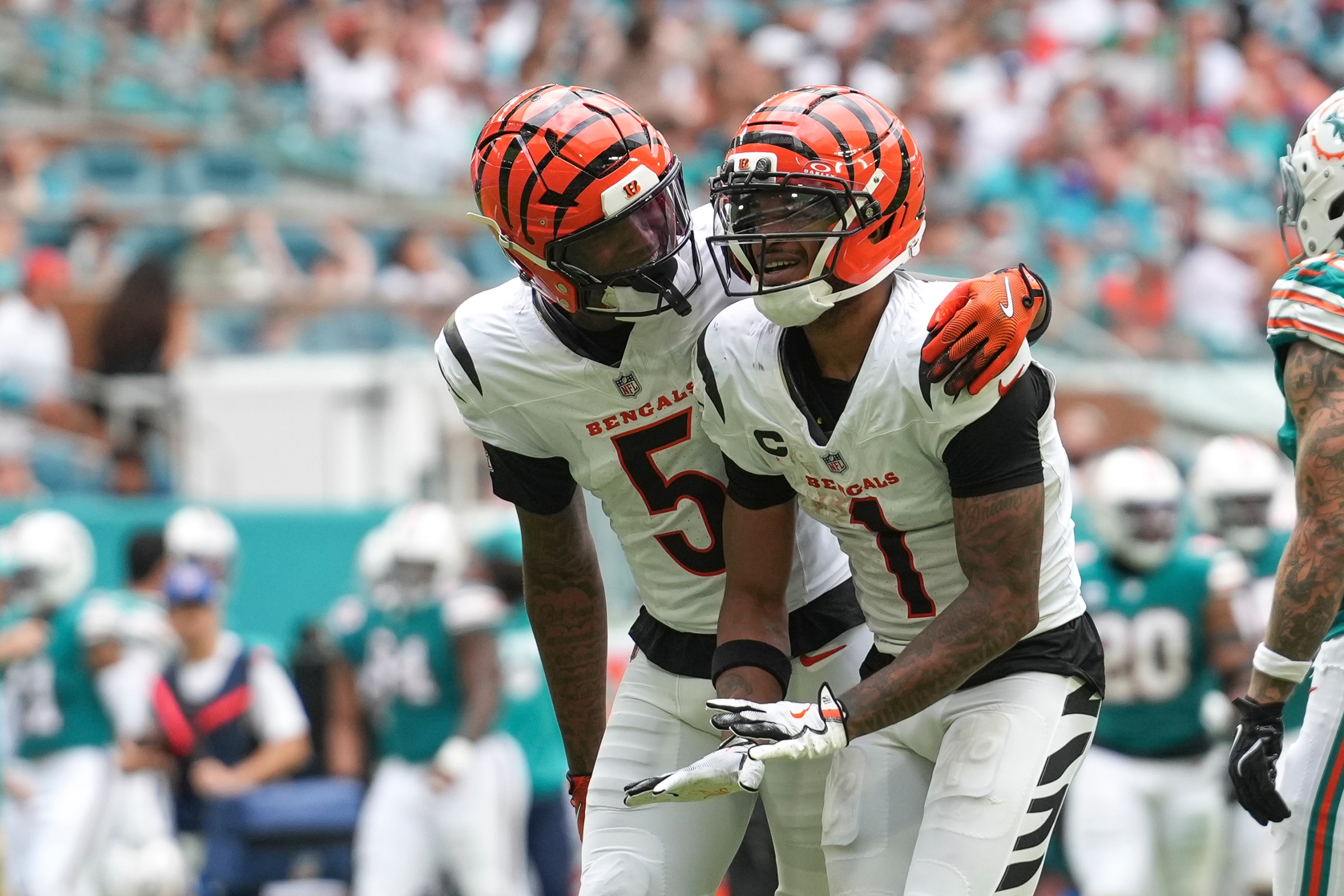 NFL: DEC 21 Bengals at Dolphins