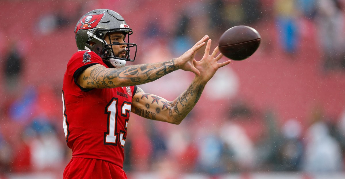 Browns Free Agency: Vet WR Mike Evans would be perfect addition in Cleveland