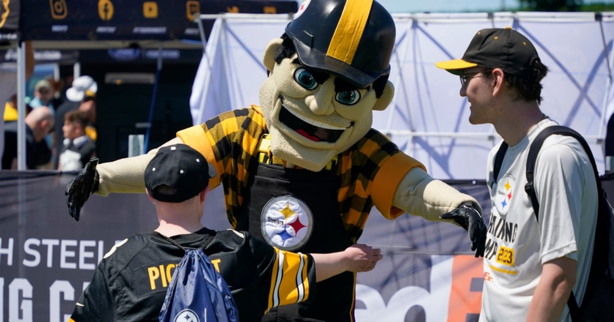 Pittsburgh Steelers accepting applications for next Steely McBeam – WPXI