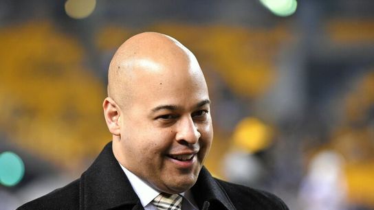 Steelers Linked To Top Free-Agent Wide Receiver (Steelers News)