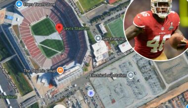 Ex-49ers tight end Delanie Walker says power plant is non-issue