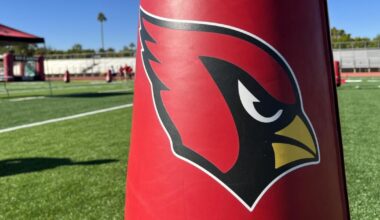 Players union report card for the Arizona Cardinals won't be public this year