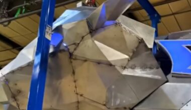 Buffalo Bills bison statues a controversial addition to Highmark Stadium