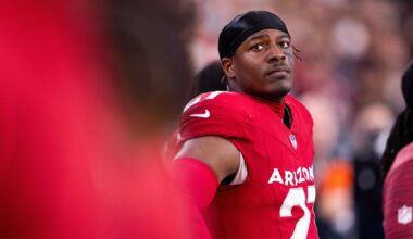 Cardinals release LB Akeem Davis-Gaither, DL Bilal Nichols, freeing up salary cap space