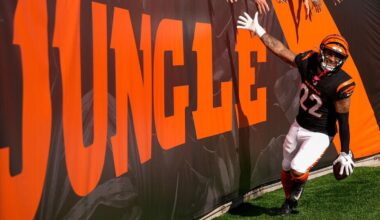 Bills bolster secondary with former Bengals safety Geno Stone | Local Sports