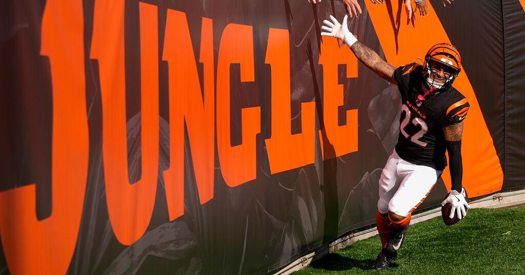 Bills bolster secondary with former Bengals safety Geno Stone | Local Sports