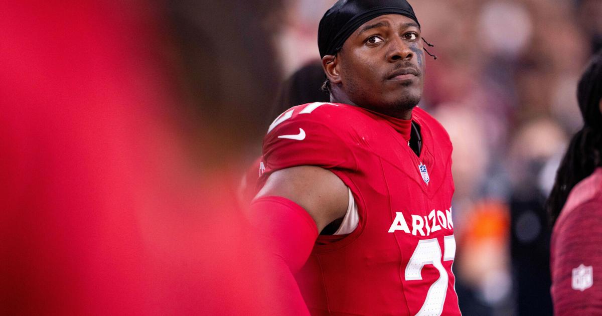 Colts sign linebacker Akeem Davis-Gaither and wide receiver Nick Westbrook-Ikhine | National Sports