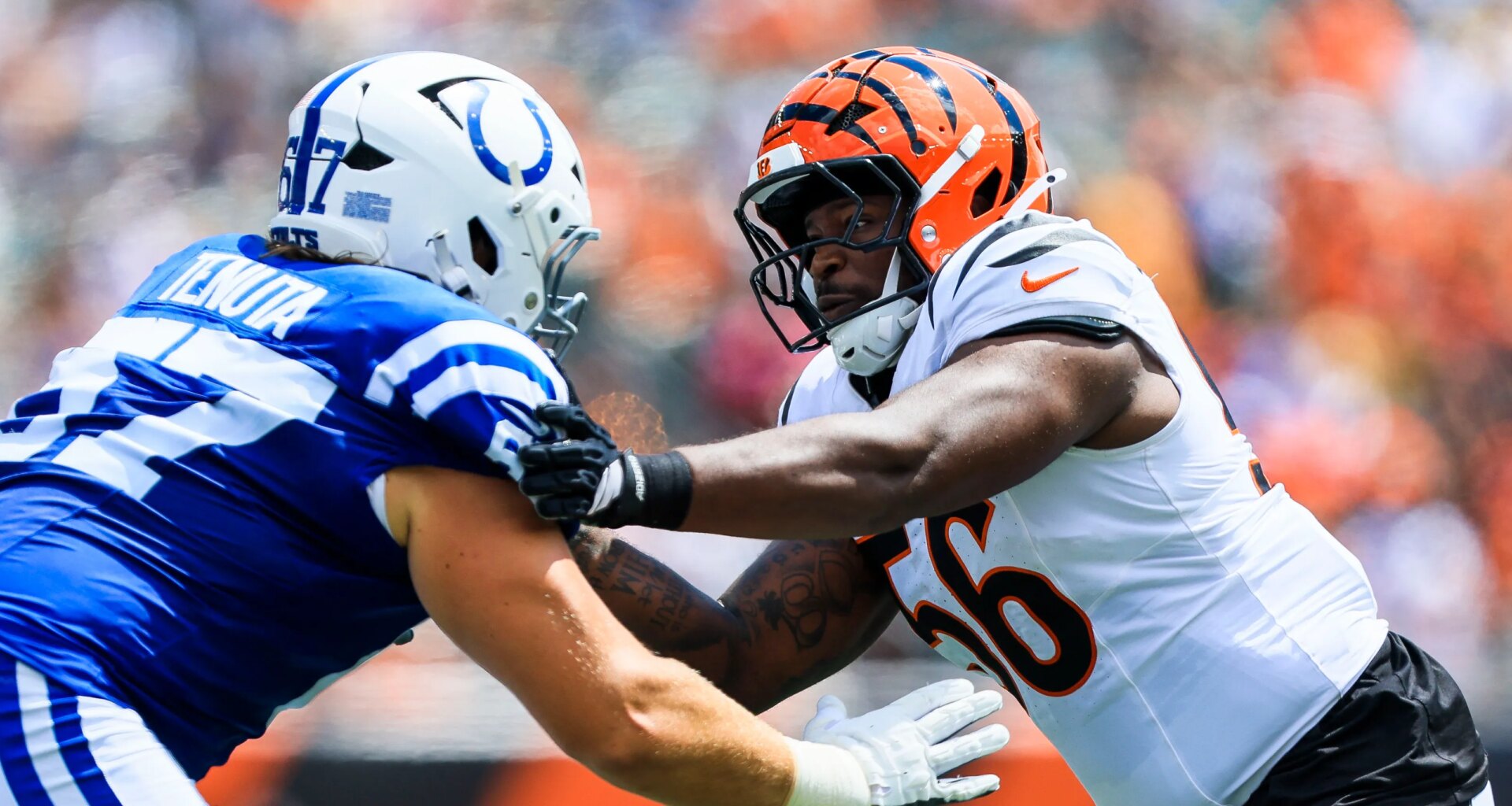 Colts re-sign free agent OT Luke Tenuta