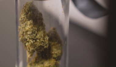 Texas hemp shop owners brace for midnight deadline as new state regulations take effect