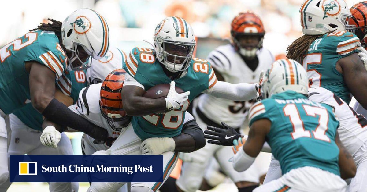 Chinese billionaire Lin Bin buys stake in Miami Dolphins valued at US$12.5 billion: report