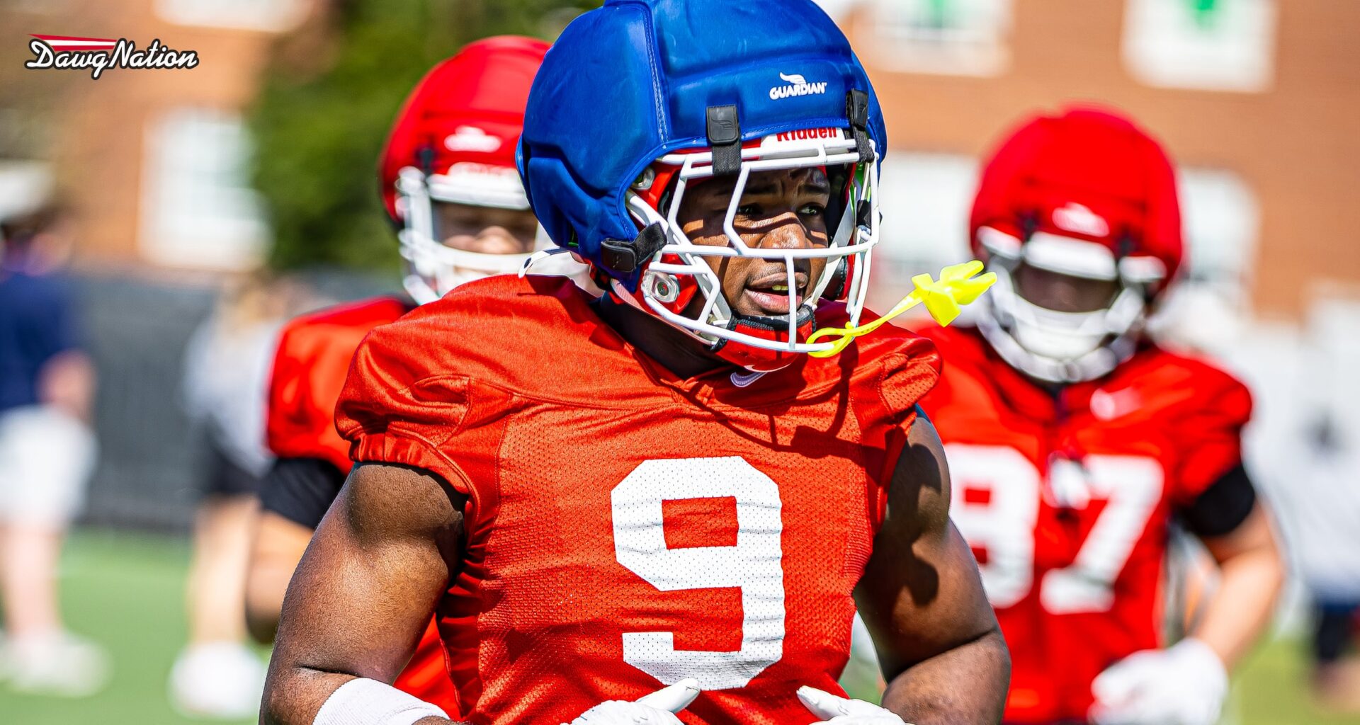 Blue caps and new jersey numbers dominate spring viewing