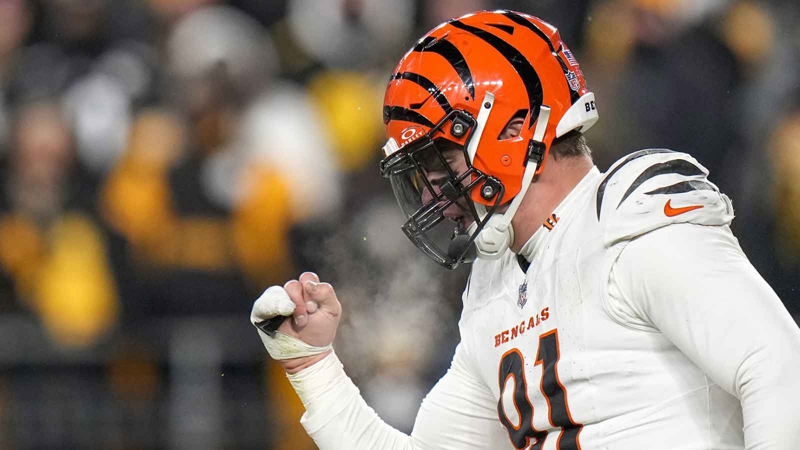 Cincinnati Bengals defensive end Trey Hendrickson (91) celebrates as the Pittsburgh Steelers prepare to punt in the fourth quarter at Acrisure Stadium. The Bengals won 19-17 to finish the regular season at 9-8.