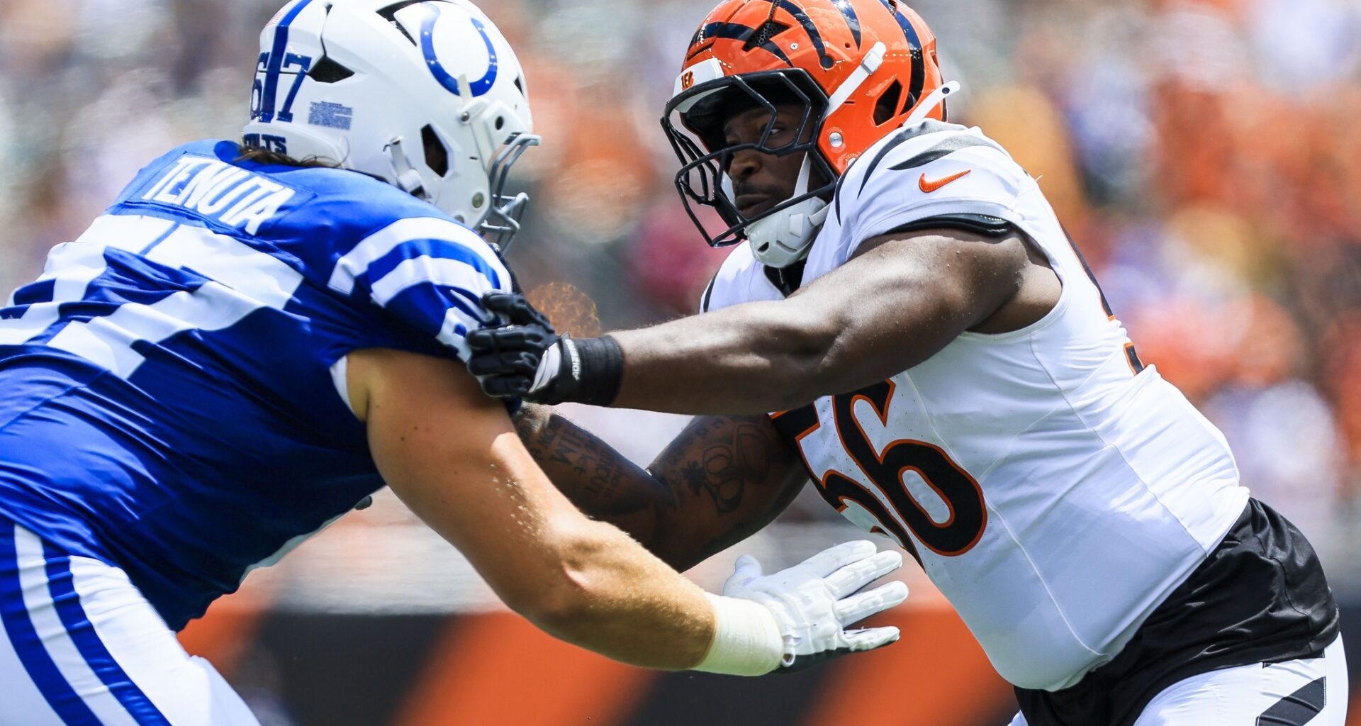 Colts Re-Sign OT Luke Tenuta