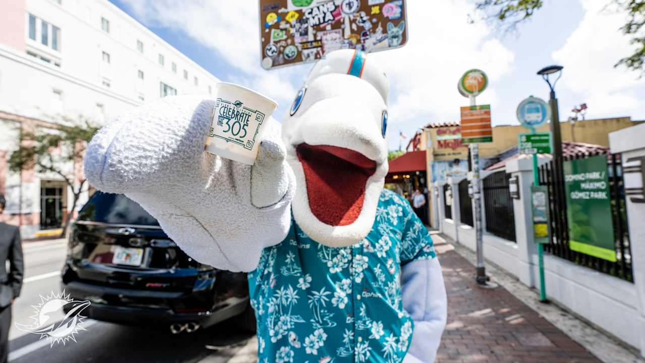 Dolphins celebrate 305 Day with Verizon