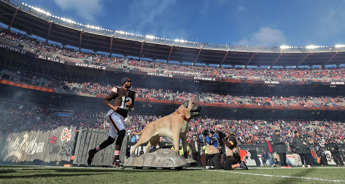 Download app from appStore