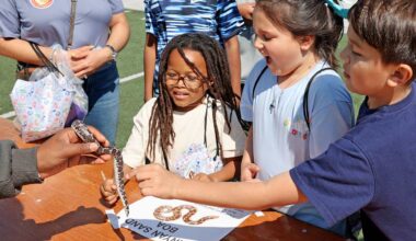 Saints and Pelicans join Entergy to host STEM Fest 2026
