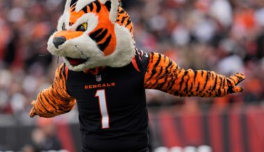 NFL free agency Day 3: Open thread and Bengals news