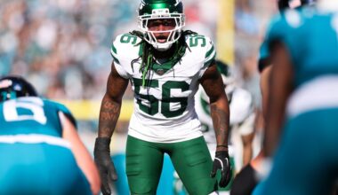 Detroit Lions free agency preview: Best linebacker fits, Anzalone replacments