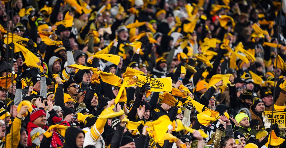 Browns official social media trolls big Steelers fan account