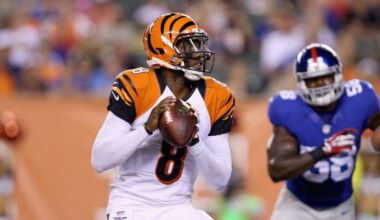 Bengals sign veteran QB Josh Johnson