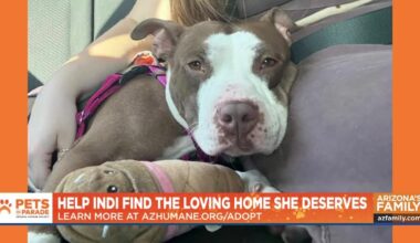 Pets on Parade (Full Episode) March 7, 2026