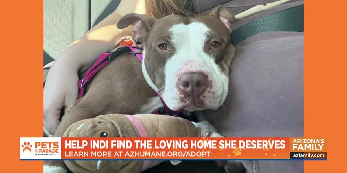 Pets on Parade (Full Episode) March 7, 2026