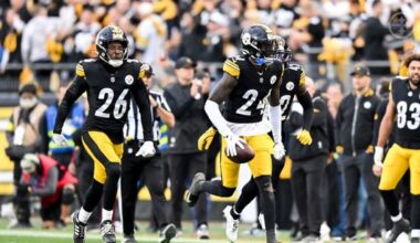 Steelers Have 3 Under-The-Radar Defensive Free Agent Options That Suddenly Make A Ton Of Sense (Steelers News)