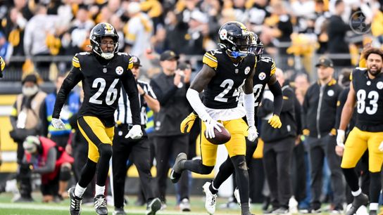 Steelers Have 3 Under-The-Radar Defensive Free Agent Options That Suddenly Make A Ton Of Sense (Steelers News)