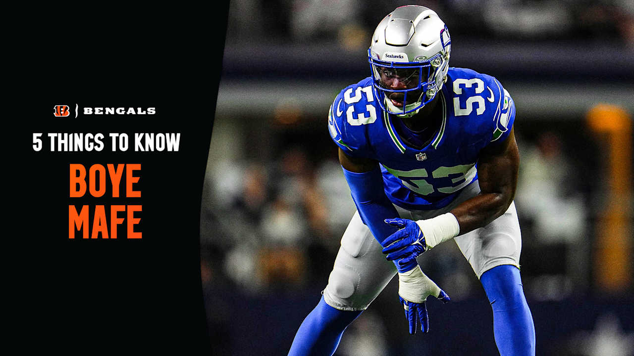 Boye Mafe Facts to Know