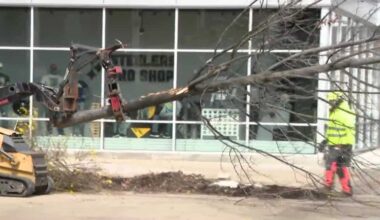 Trees removed outside Acrisure Stadium for NFL Draft in Pittsburgh