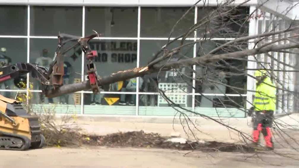 Trees removed outside Acrisure Stadium for NFL Draft in Pittsburgh
