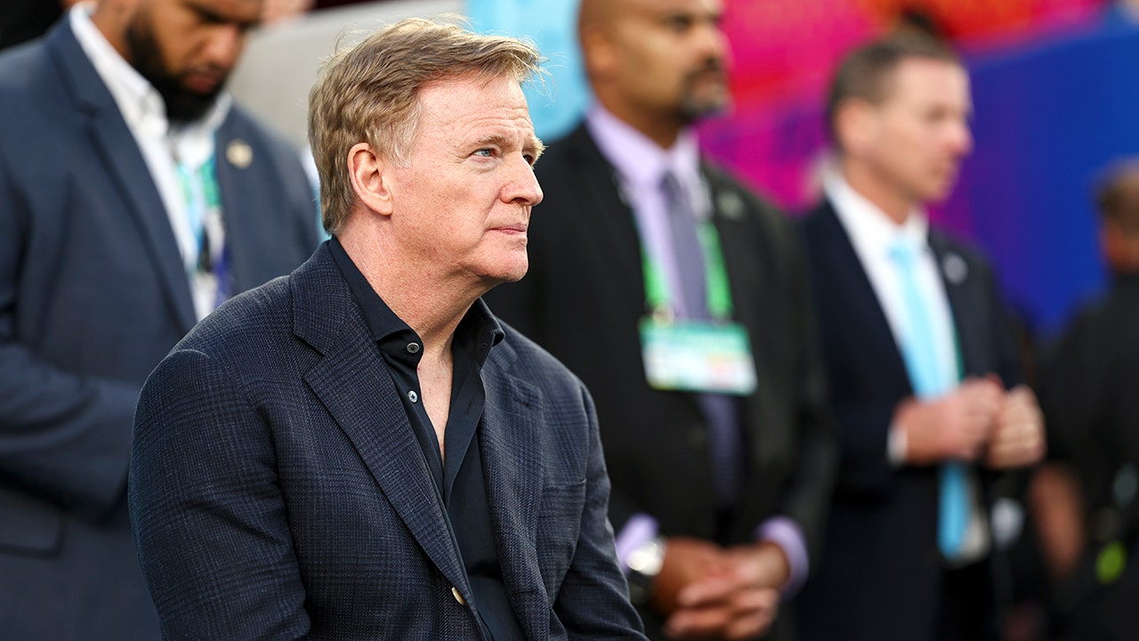 Florida AG warns NFL's Goodell to drop Rooney Rule or face legal action