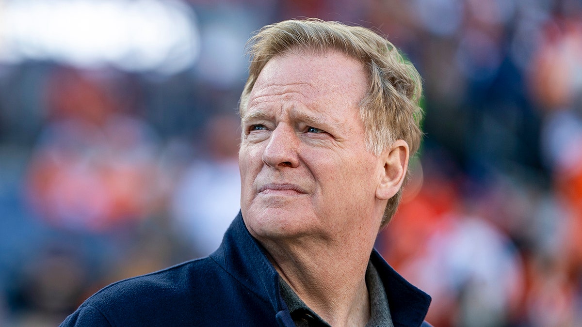 Roger Goodell looks on at NFL game